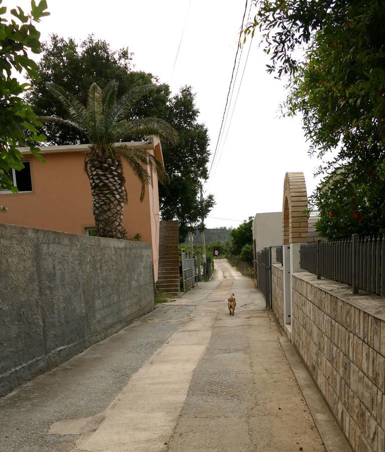 Apartmani Scepanovic ซูโตมอเร ภายนอก รูปภาพ